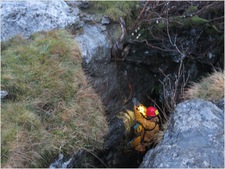 Thumbnail of photo from this article